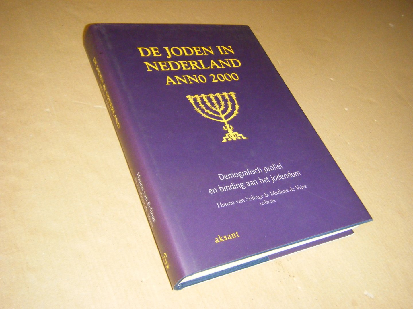 Hanna van Solinge; Marlene de Vries - De Joden in Nederland anno 2000. Demografisch profiel en binding aan het jodendom