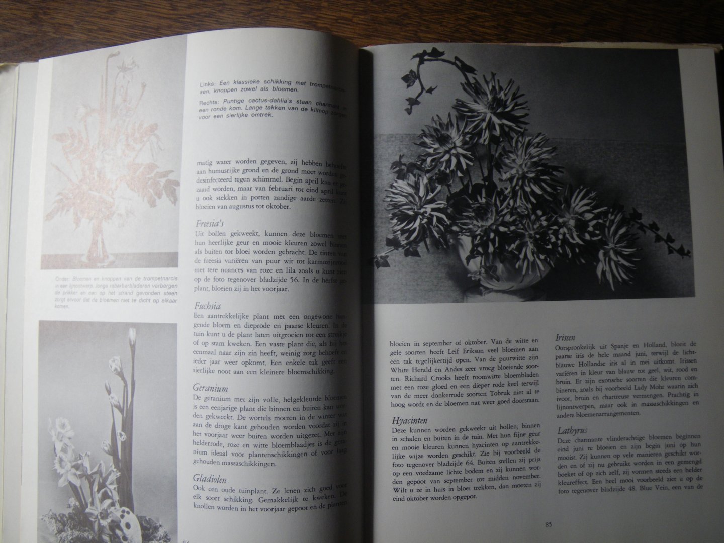 Verbeek, Kremer vertaling - bloemschikken kunst en plezier praktische handleiding