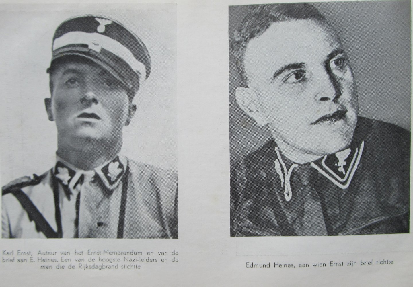 Brandting, Georg Mr. (vorwoord) - Voogd, P. e.a (vertaling) - Witboek over de Duitse Bartholomeusnacht. De Rijksdagbrand opgelost! (over Hitlers massamoord op SA-leiders, juni 1934