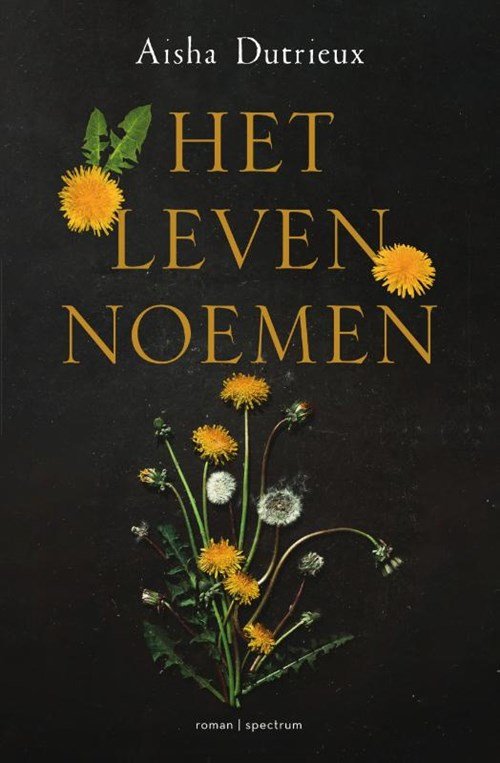 Aisha Dutrieux - Het leven noemen