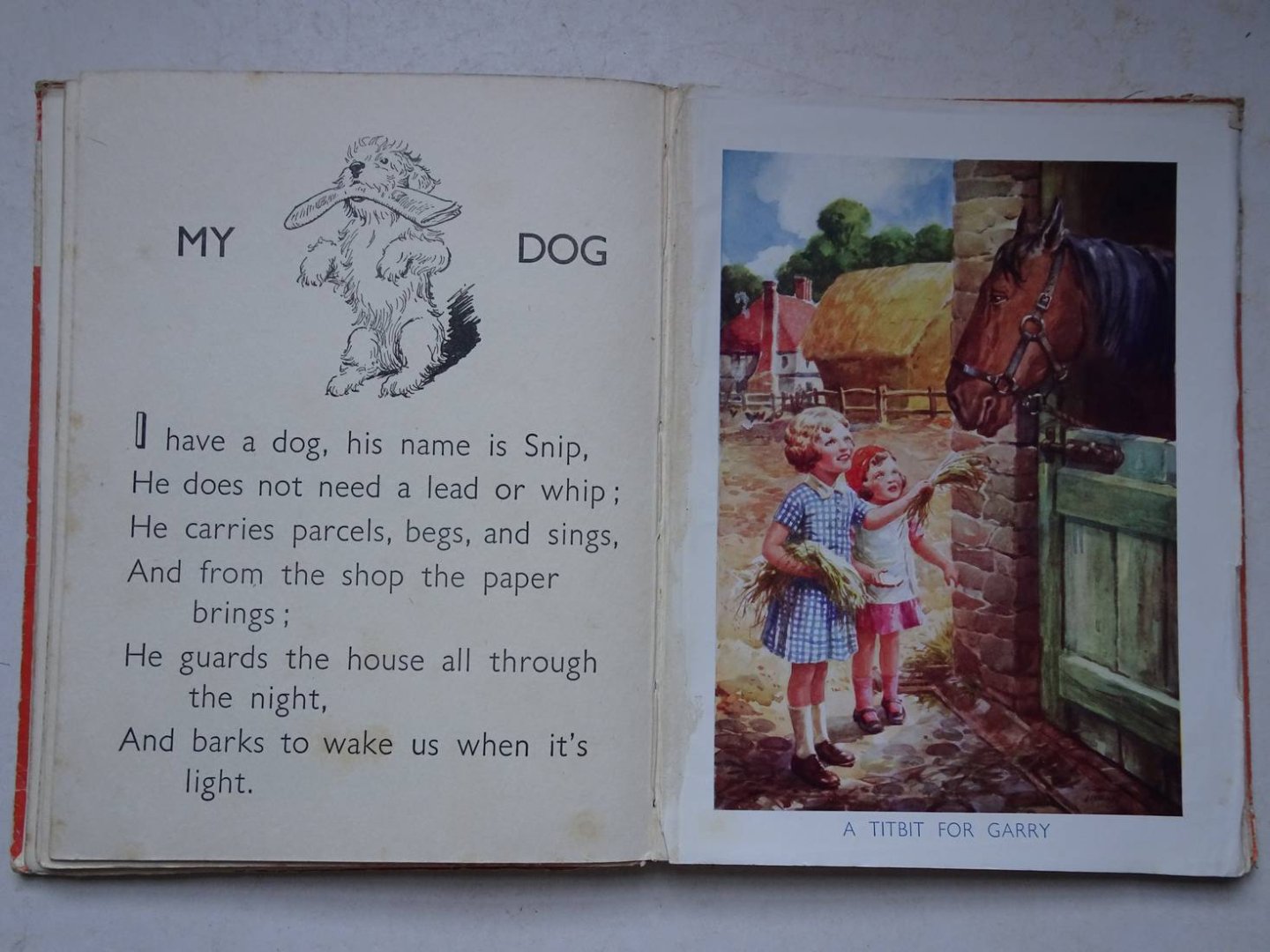 N.n.. - The youngest reader's animal tales.