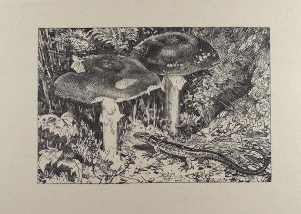 Mees, Fokko, Dirk Nijland, A. Derksen van Angeren, S. Moulijn e.a. - Vereeniging tot Bevordering der Grafische Kunst. 12 Prenten door leden der Vereeniging.