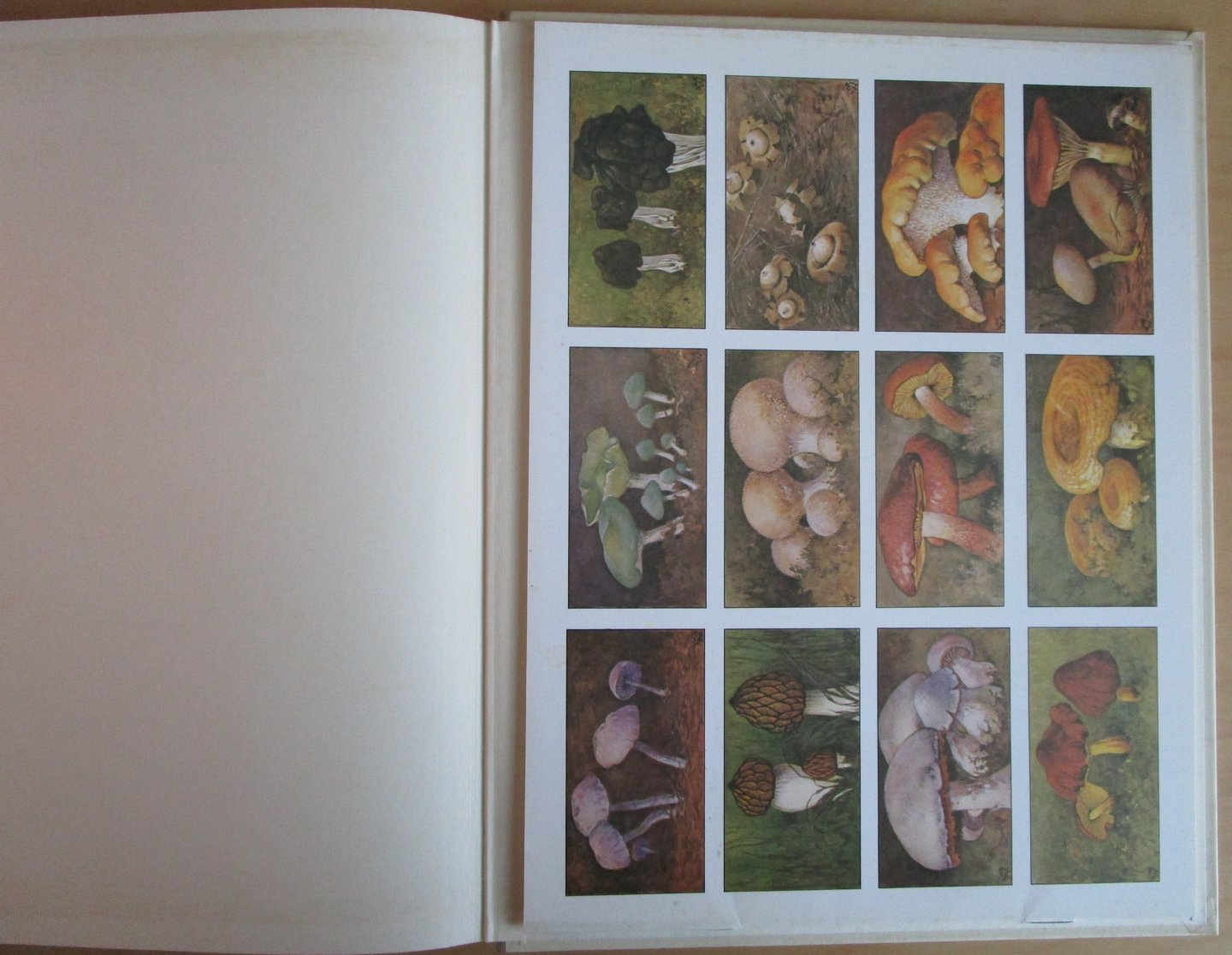 Thysse, Jac. P. - Winter