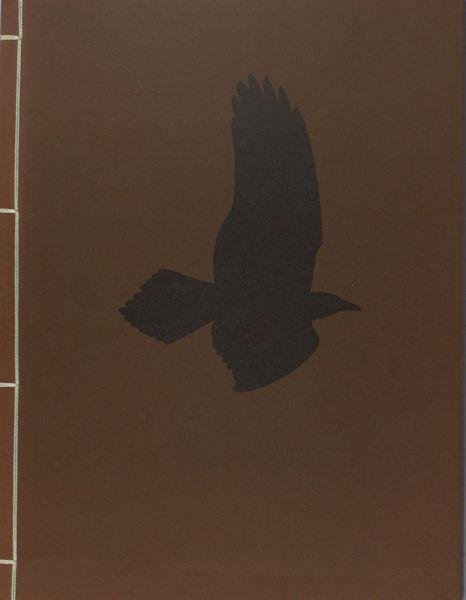 Poe, Edgar Allan. - The raven.