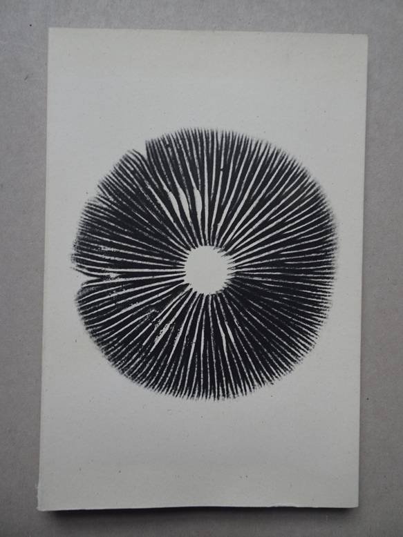 Benedetti, Lorenzo & Annie Rattie.. - The Mushroom Project.