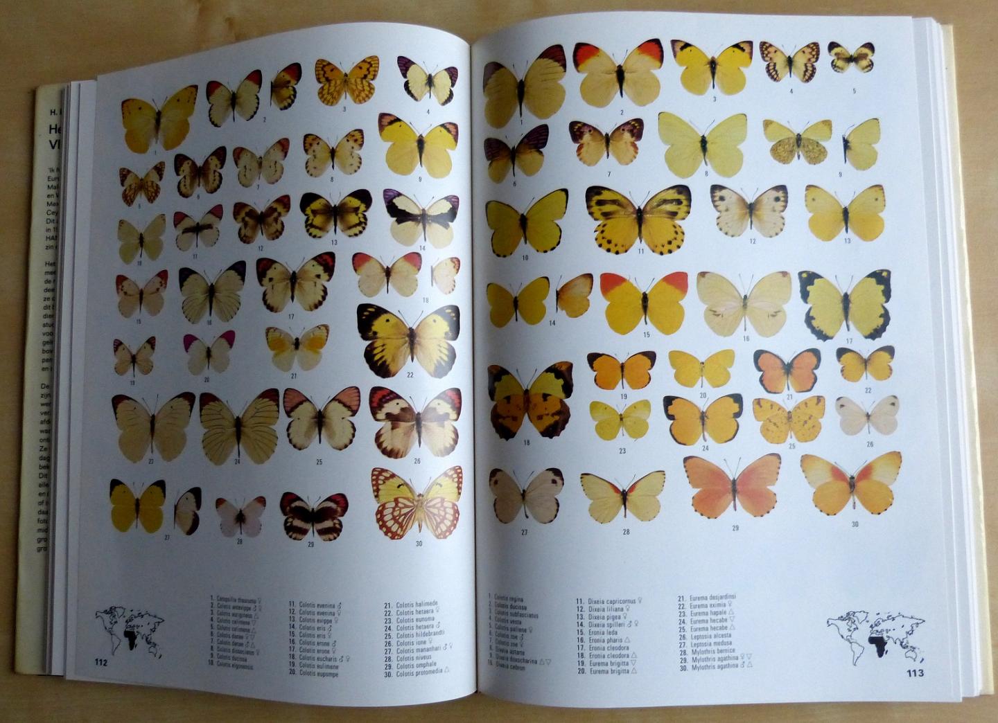 Lewis, H.L. - Het grote Vlinderhandboek