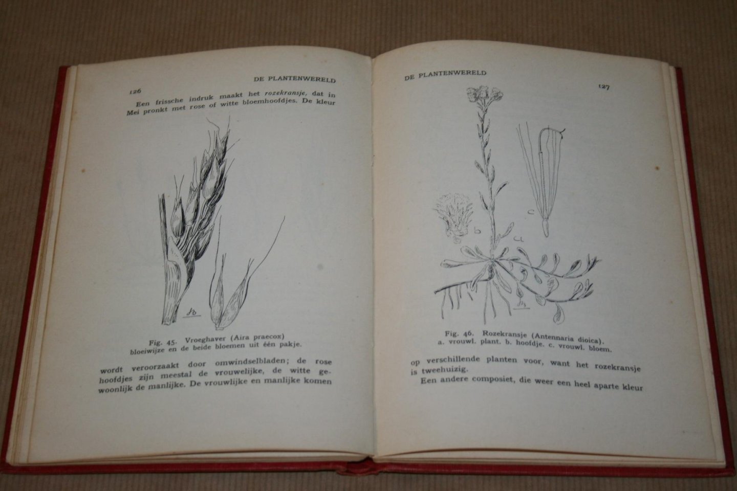 Dr. J. Botke - De Hondsrug   (Uitgaven der Nederlandsche Natuurhistorische Vereeniging No. 2)