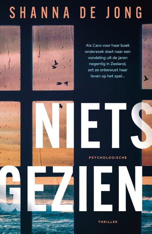 Shanna de Jong - Niets gezien
