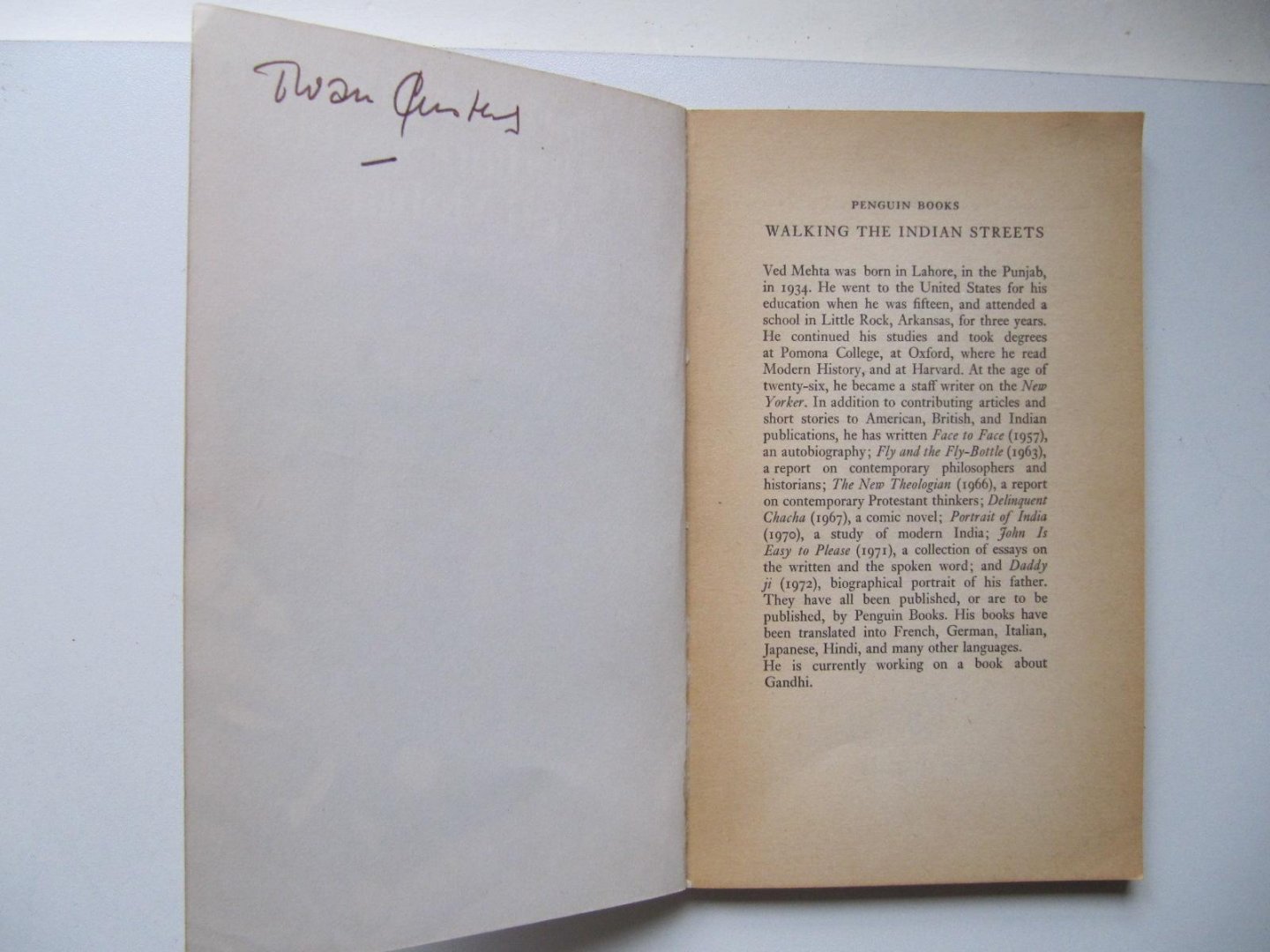 Red Mehta - Walking the Indian Streets