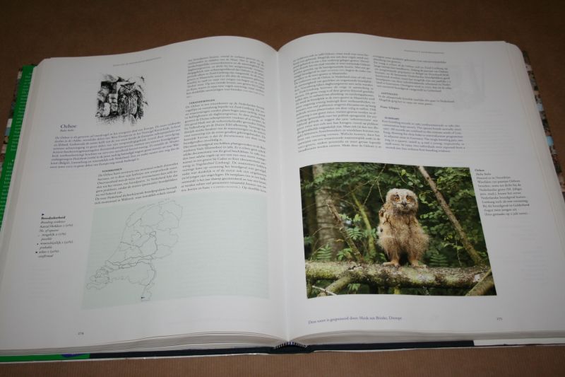 Fred Hustings & Jan-Willem Vergeer - Atlas v/d Nederlandse Broedvogels --- Verspreiding - Aantallen - Verandering