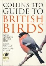 STERRY, PAUL / STANCLIFFE, PAUL - Collins BTO Guide to British birds