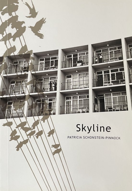  - Skyline
