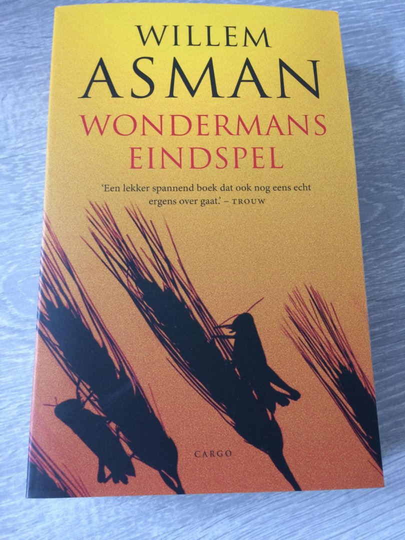 Willem Asman (gesigneerd) - Wondermans eindspel