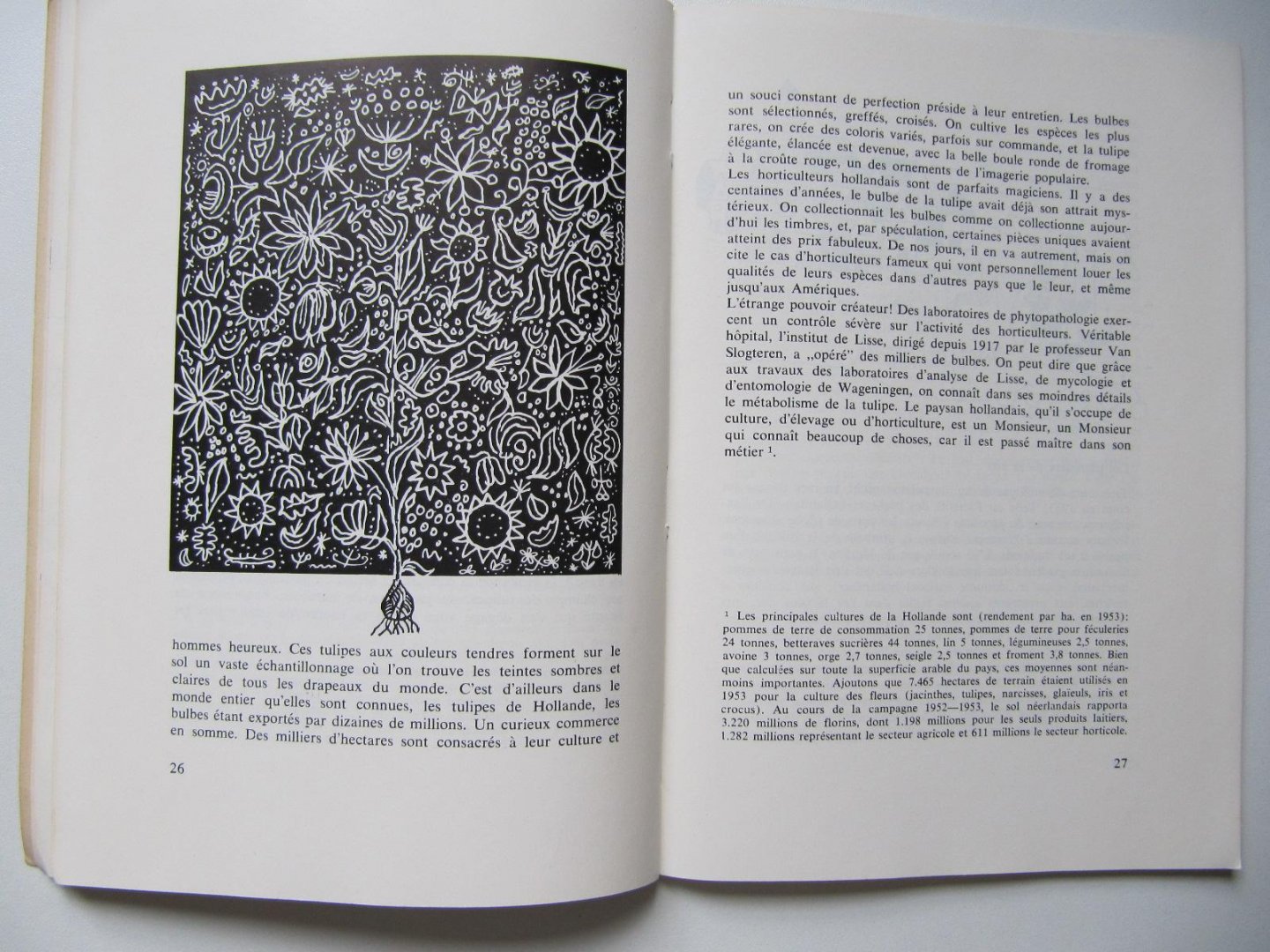 Sadi de Gorter - Presentation de la HOLLANDE