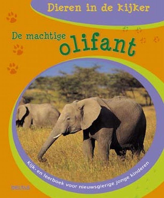 Fang-Ling Li - Machtige Olifant