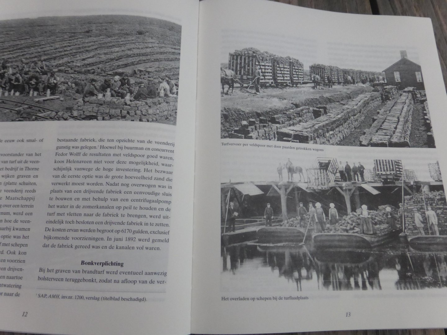Griendt, A.F. van de - 100 jaar Nederlandse turfstrooiselindsutrie 1882-1983 / druk 1