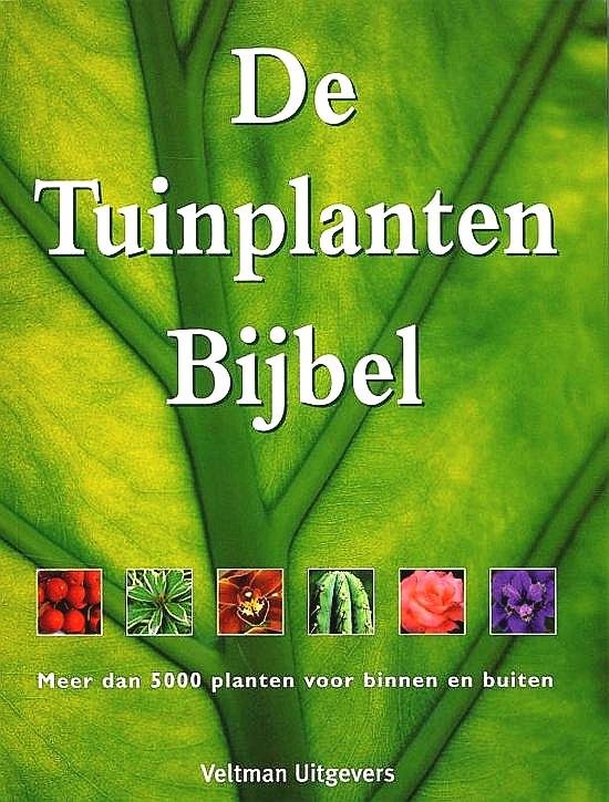 Rodd , Tony . & Geoff Bryant . [ ISBN 9789059208858 ] - De Tuinplanten Bijbel . ( Meer dan 5000 planten voor binnen en buiten . ) De Tuinplanten Bijbel is zeer gezaghebbend en heeft een gebruiksvriendelijk formaat.  Elk hoofdstuk is gewijd aan een belangrijke plantengroep en begint met een tabel waarin -
