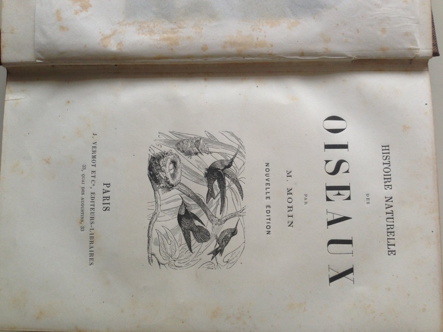 Morin, M. - Histoire naturelle des Oiseaux. Nouvelle édition.