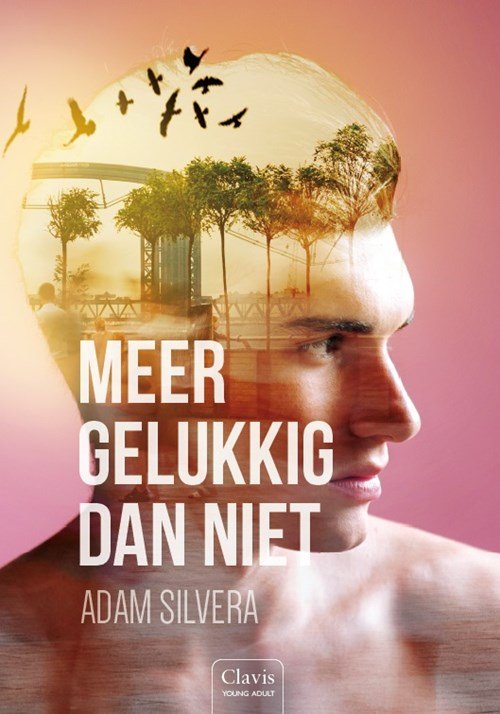 Adam Silvera - Meer gelukkig dan niet