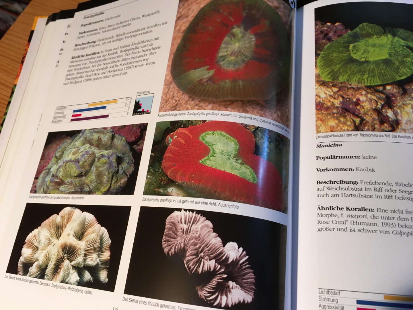 Sprung, Julian - Korallen - Ein Bestimmungsbuch (Gids voor het koraal)