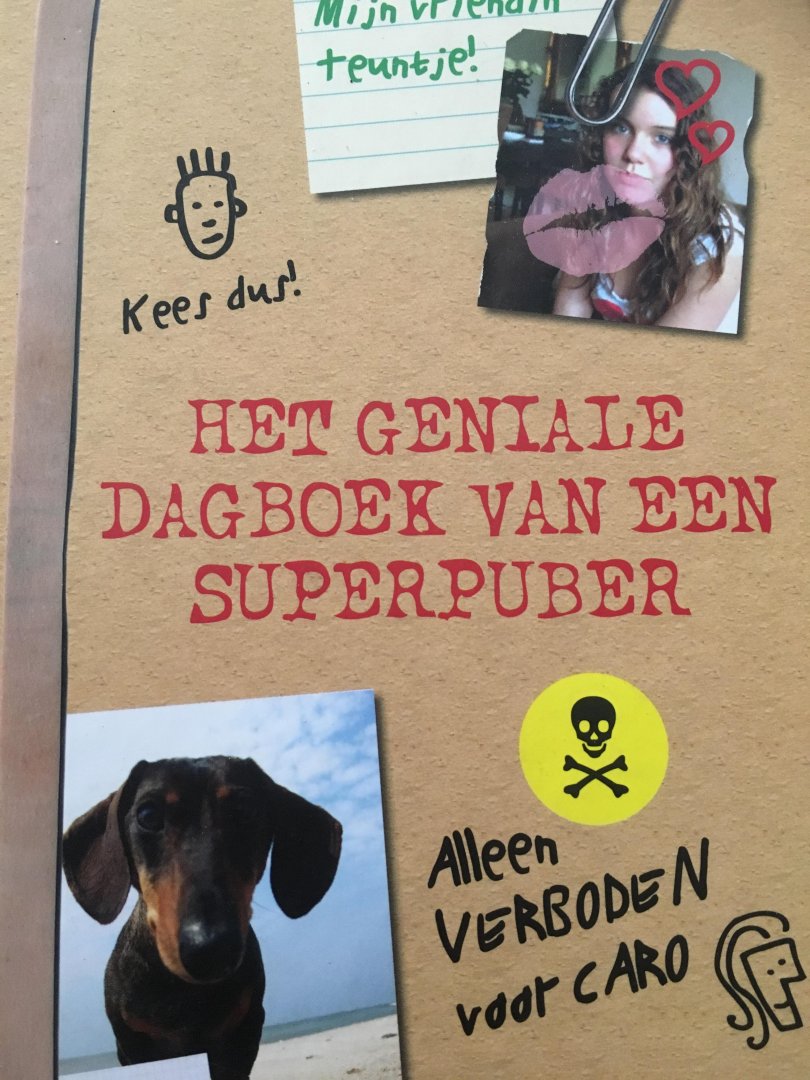 Straaten, Harmen van - Het geniale dagboek van een superpuber