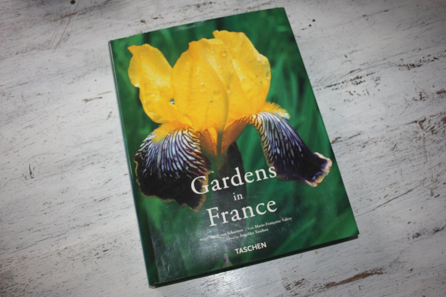 Valéry, Marie-Francoise (tekst) en Schaewen, Deidi von (foto's) - GARDENS IN FRANCE / Gärten in Frankreich / Jardins de France en fleurs