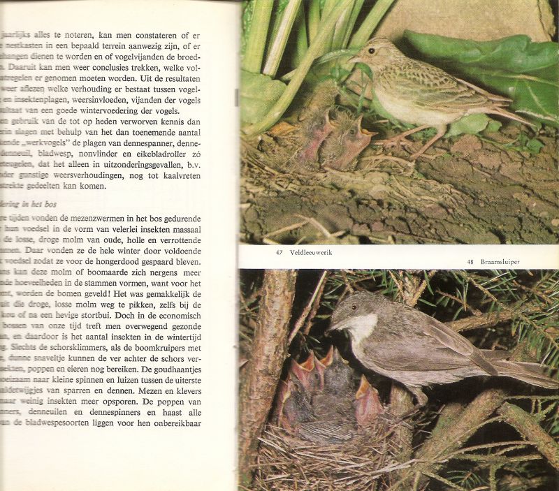 Zimmermann  Dr. Otto Henze Günther  met 42 tekeningen  64 kleuren foto's en 3 gekleurde eierafbeeldingen  met Nederlandse bewerking van Hans Warren - Gevederde vrienden in Tuin en Bos Waarnemen - Herkennen - Beschermen