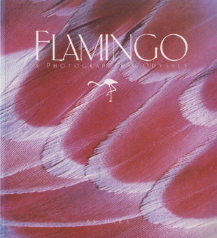 Hara - Flamingo: a photographer's odyssey