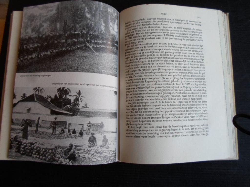 Hall, Dr.C.J.J.van - Insulinde, De inheemsche landbouw