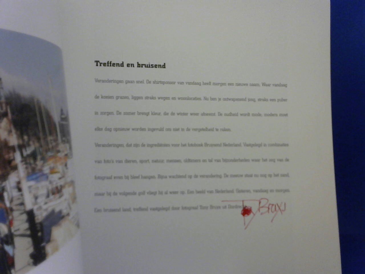 Bruys Tony - Bruysend Nederland 2001