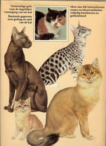 RICHARDS DOROTHY SILKSTONE met medewerking van CHARLENE BEANE & MICHAEL FINDLAY en tekeningen van JOHN FRANCIS - Het boek van de KAT * rijk geïllustreerde encyclopedie van katterassen en compleet handboek, met alle informatie over kopen,verzorgen,fokken * deel een beschrijving der rassen...langharige katten&kortharige
