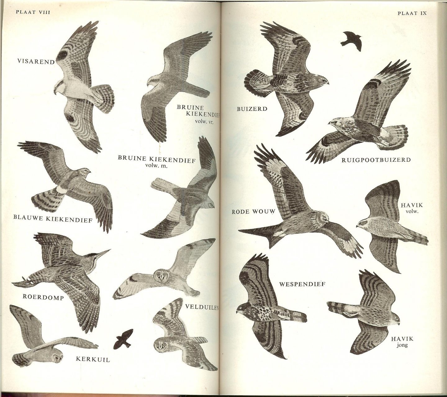 Fitter, R.S.R. en R.A. Richardson en vertaald en bewerkt door M.J. Tekke    met tekeningen en foto`s - Veldgids voor vogels