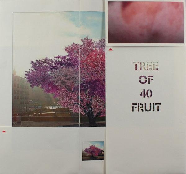 Aken, Sam Van. - Tree of fruit.