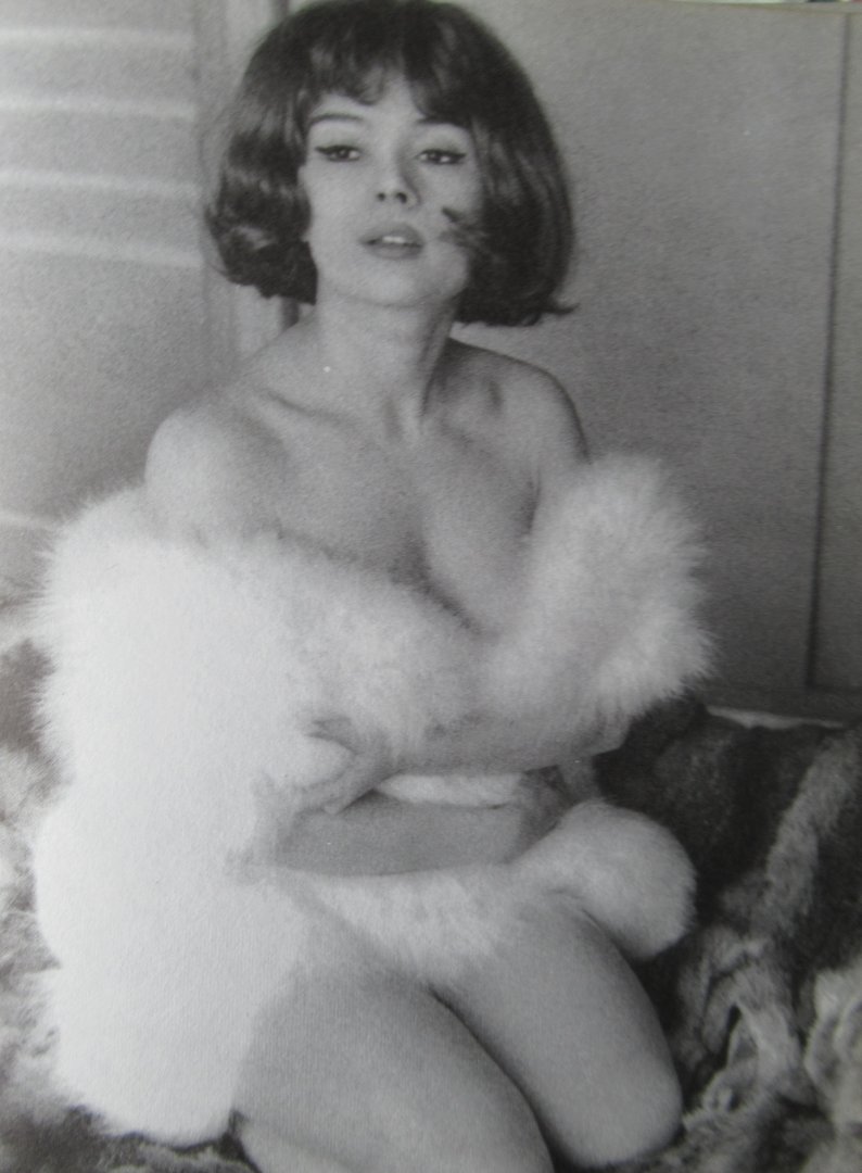 diverse auteurs - Plexus