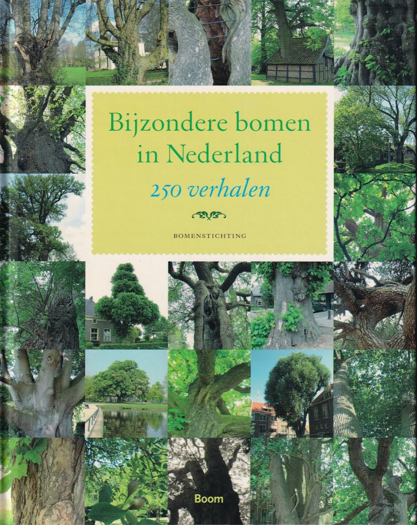 Buist, Girbe (ds1261) - Bijzondere bomen in Nederland / 250 verhalen