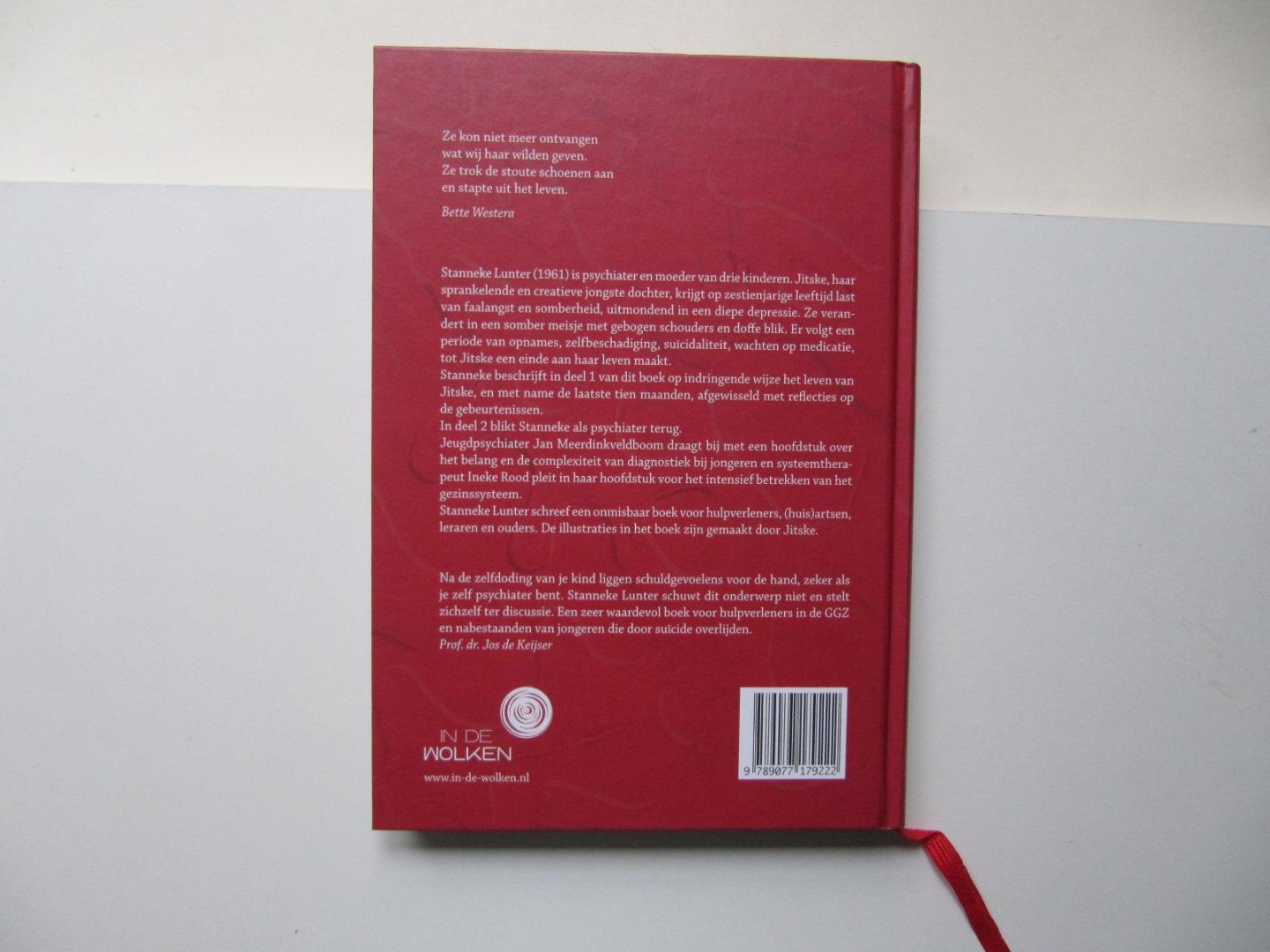 Stanneke Lunter - Geen pijn- geen angst - geen leven; de veerkracht voorbij