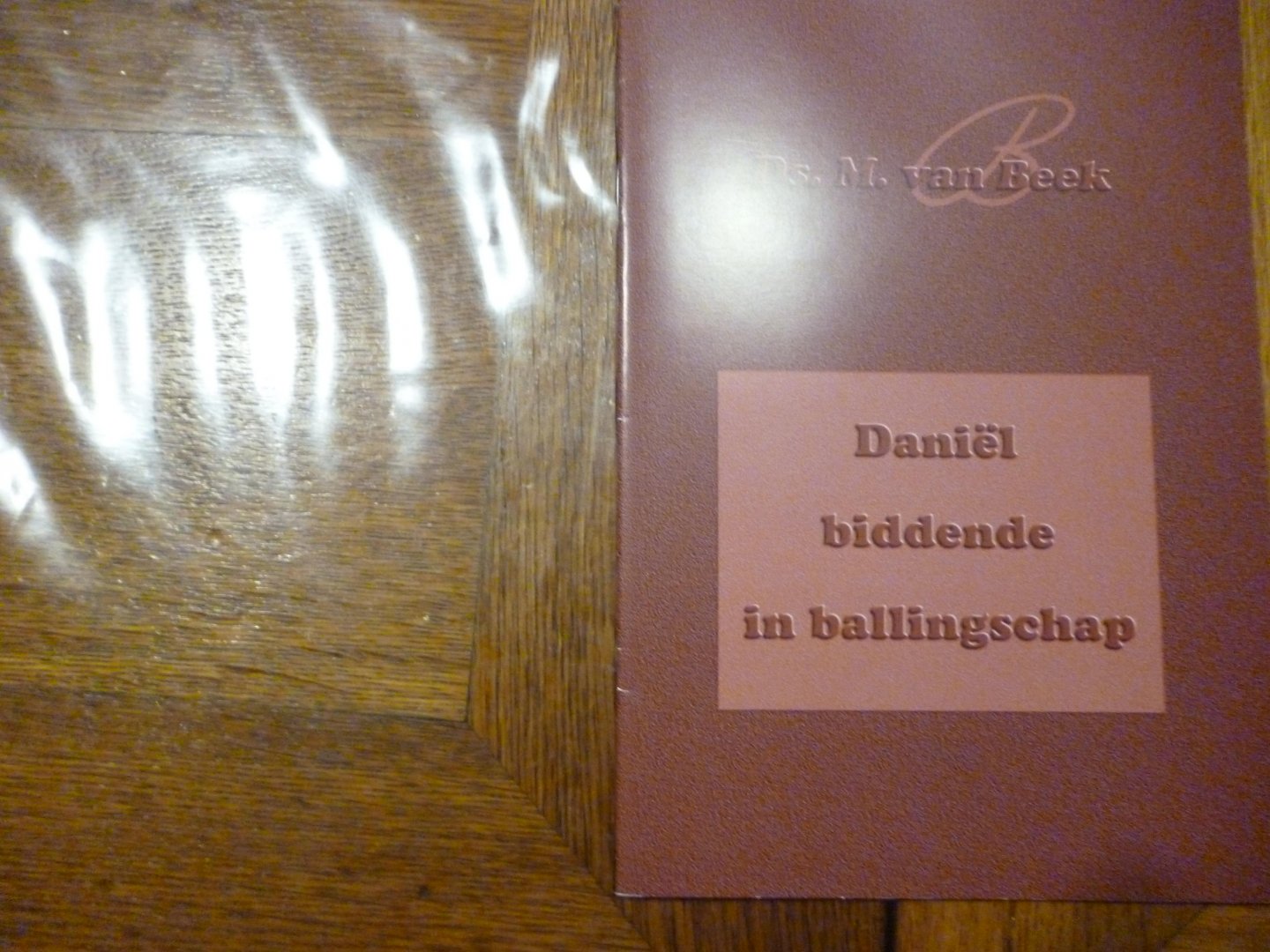 Beek van M. - Daniël biddende in ballingschap