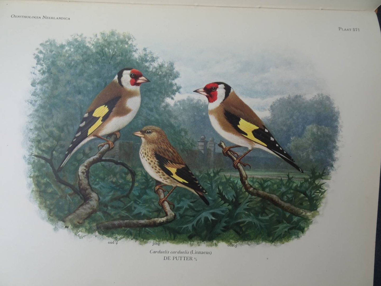 Oort, E.D. van. - Ornithologia Neerlandica. De vogels van Nederland.