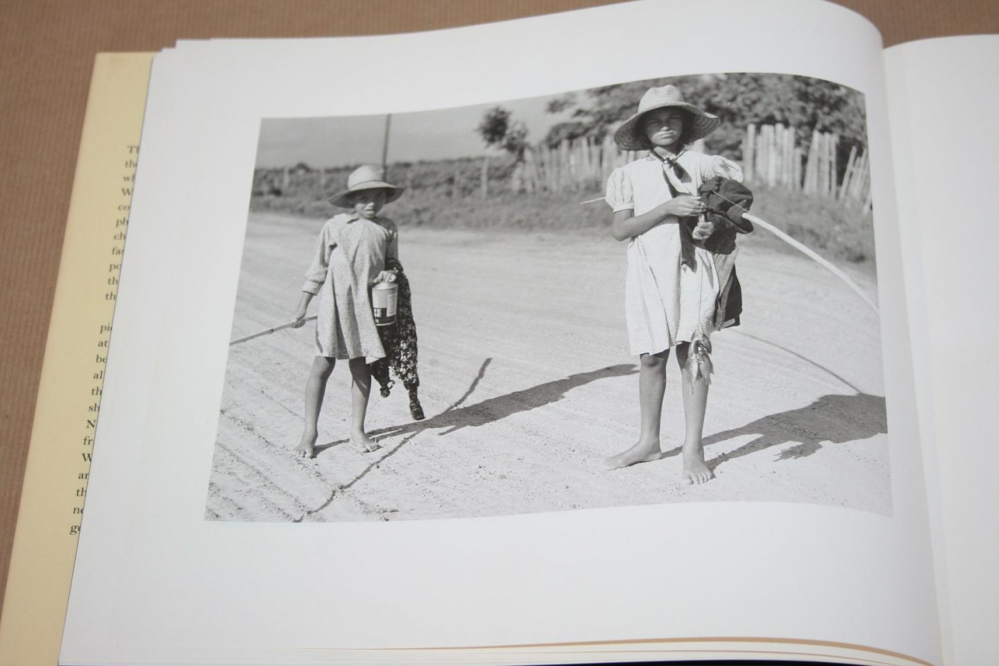 Walter Dean Myers - Brown Angels - An album of pictures and verse