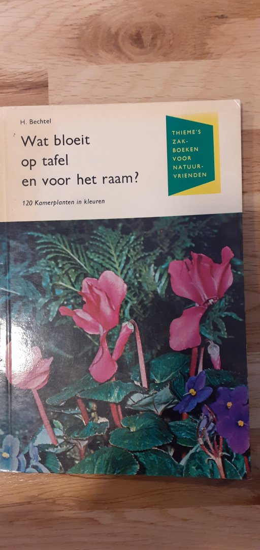 H. Bechtel - Wat bloeit op tafel en voor het raam