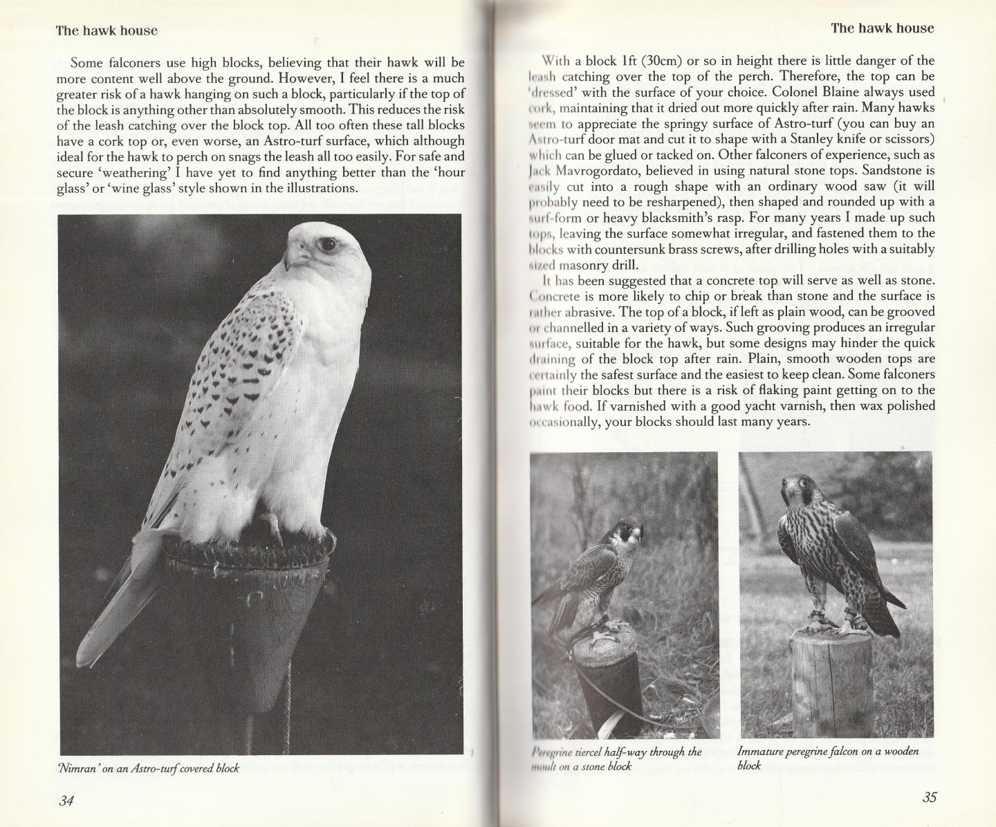 Upton, Roger - Falconry. Principles & Practice
