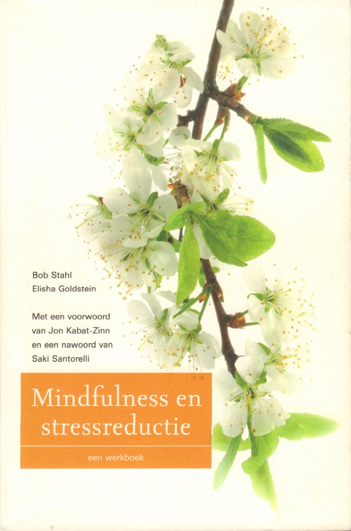Stahl, Bob en Elisha Goldstein - Mindfulness en Stressreductie (Een Werkboek), 267 pag. paperback, zeer goede staat