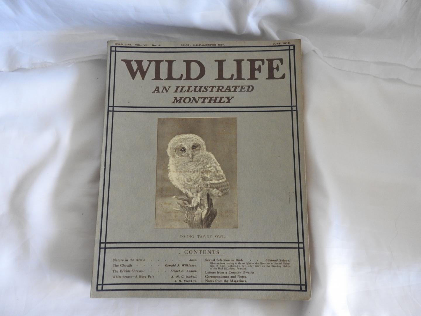 Douglas English - Wild life : an illustrated monthly. Wildlife 1913 - 1914 - 1915 - 1916. COMPLETE