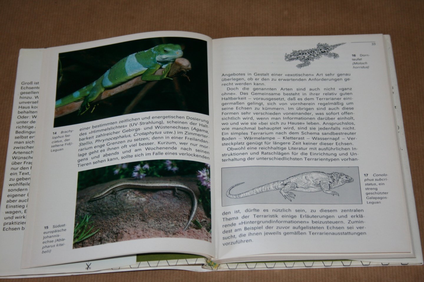 G. Peters - Echsen --  Ein Brevier