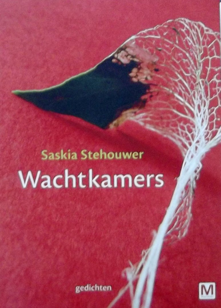 Stehouwer, Saskia - Wachtkamers / gedichten