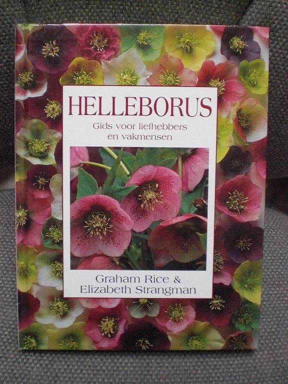 Rice, Graham en Strangman, Elizabeth - Helleborus Gids voor liefhebbers en vakmensen