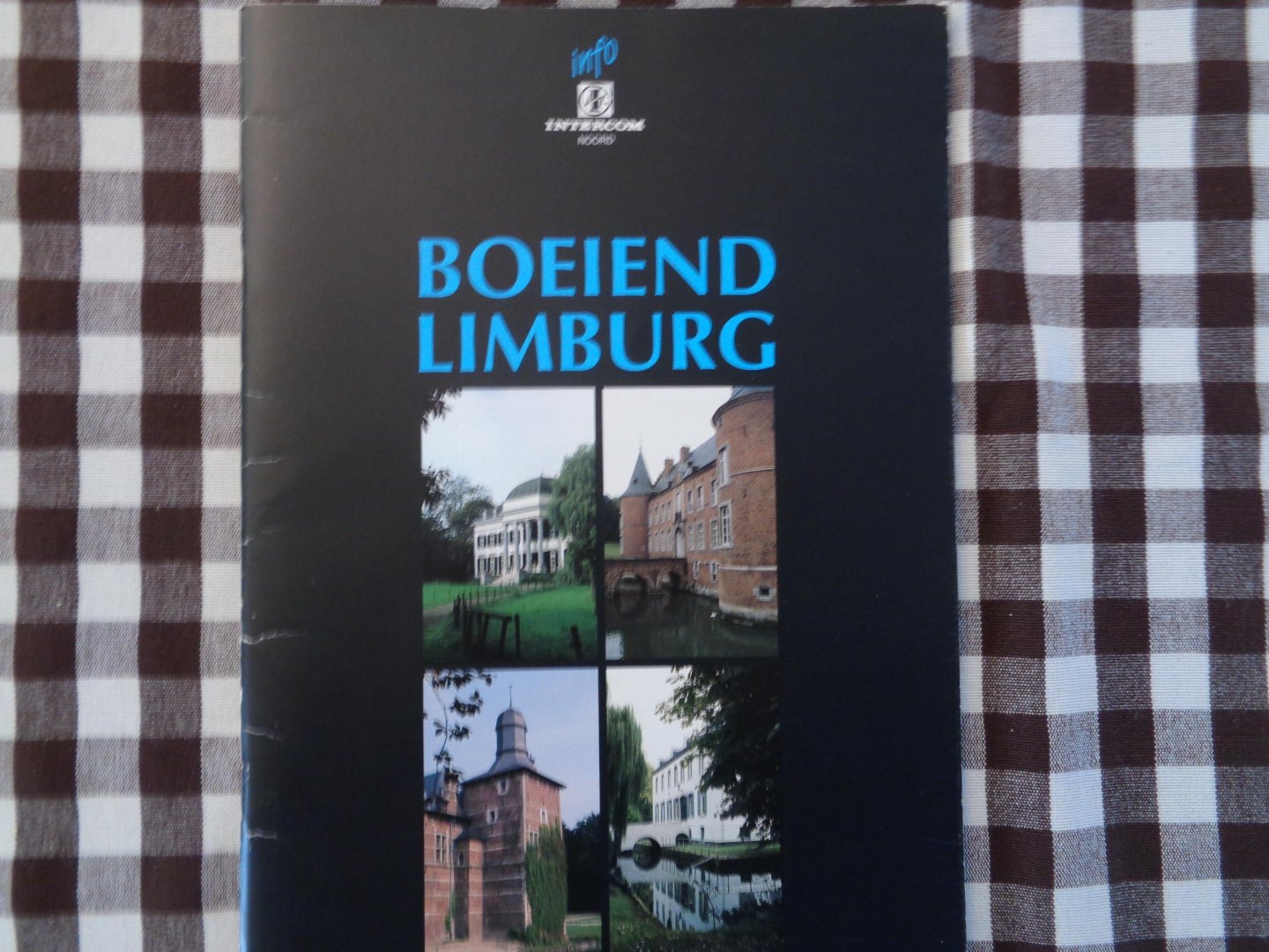 marleen verduyckt - boeiend limburg