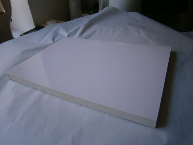 Heijltjes, Anita - Cultivating critical thinking