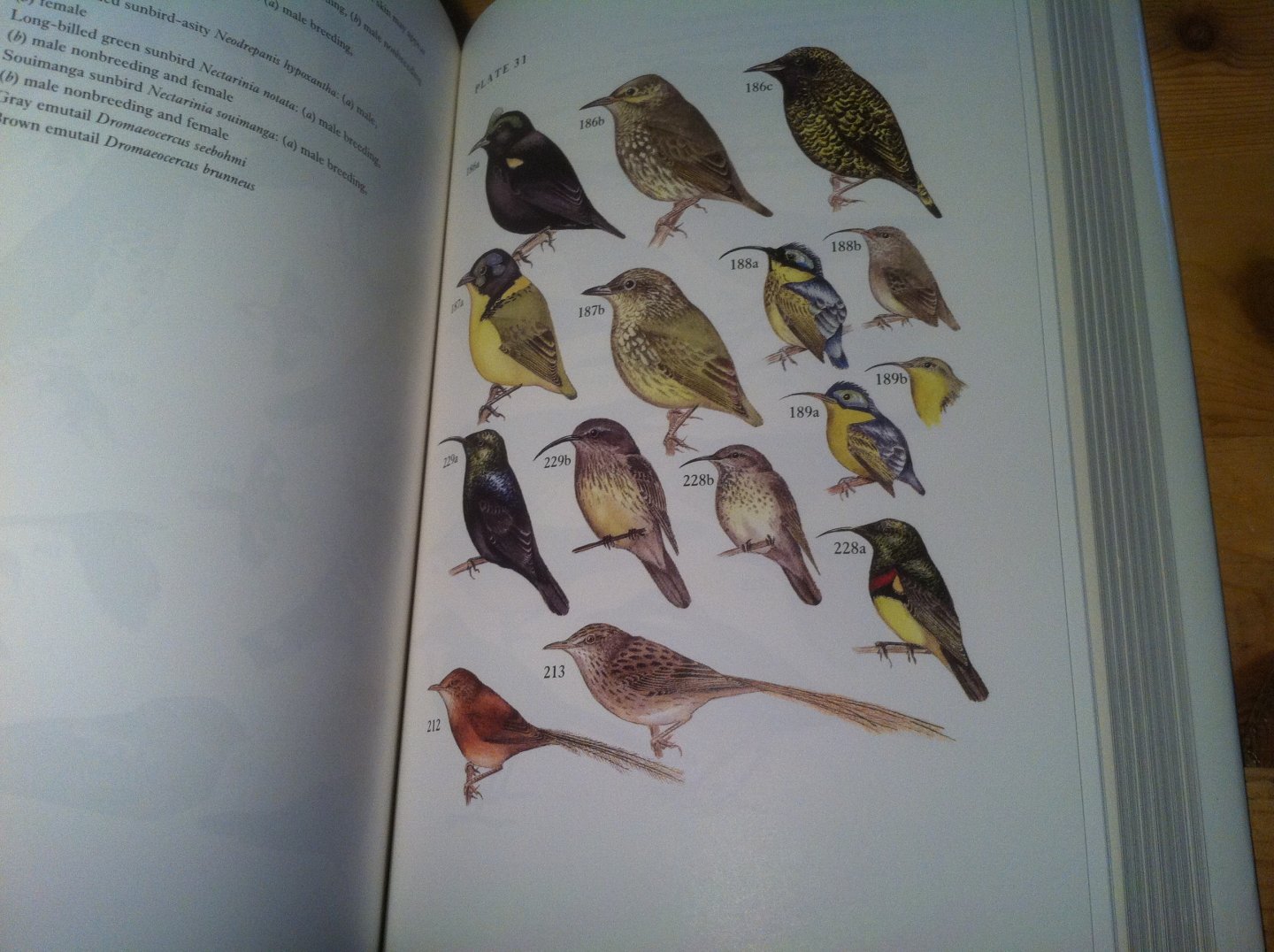 Langrand, O & V Bretagnolle - Guide to the Birds of Madagascar