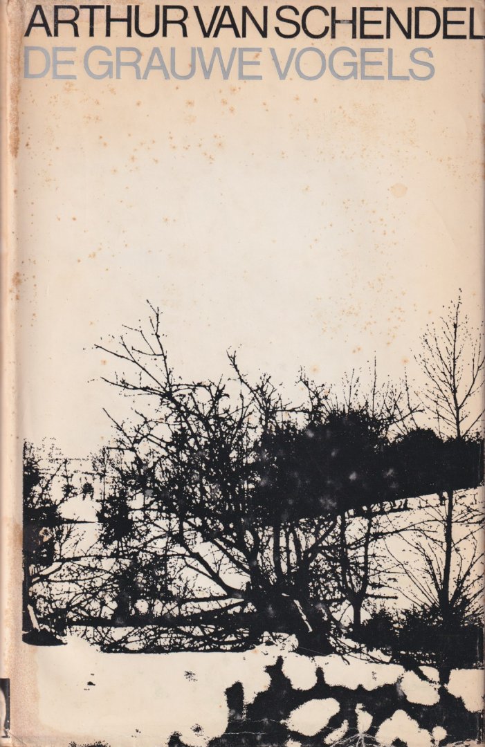 Schendel, Arthur van - De grauwe vogels